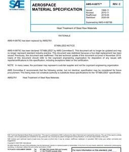 SAE AMSH6875C pdf