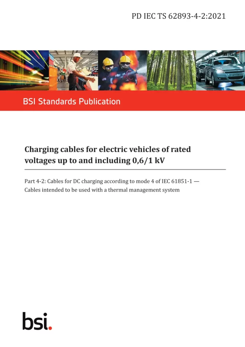 BS PD IEC TS 62893-4-2:2021 pdf